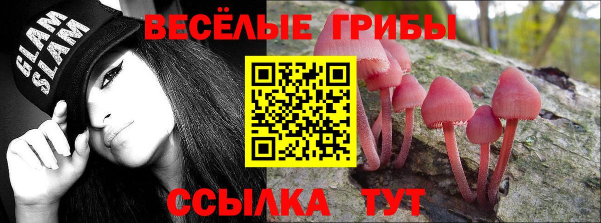 Ростов-на-Дону  Псилоцибиновые грибы ЛСД  Вход с VPN 